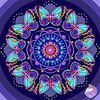 tracey_saunders